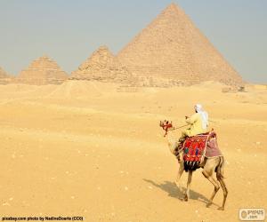 пазл Верблюжий передние пирамиды